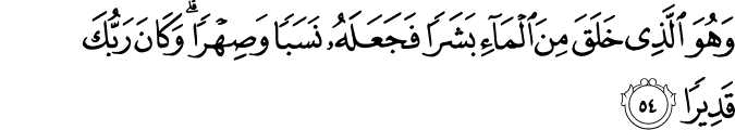 وَهُوَ الَّذِي خَلَقَ مِنَ الْمَاءِ بَشَرًا فَجَعَلَهُ نَسَبًا وَصِهْرًا ۗ وَكَانَ رَبُّكَ قَدِيرًا