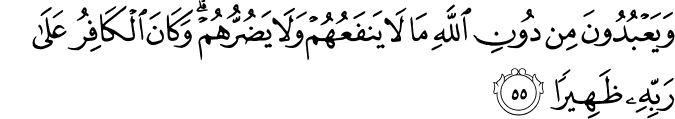وَيَعْبُدُونَ مِن دُونِ اللَّهِ مَا لَا يَنفَعُهُمْ وَلَا يَضُرُّهُمْ ۗ وَكَانَ الْكَافِرُ عَلَىٰ رَبِّهِ ظَهِيرًا