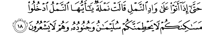 حَتَّىٰ إِذَا أَتَوْا عَلَىٰ وَادِ النَّمْلِ قَالَتْ نَمْلَةٌ يَا أَيُّهَا النَّمْلُ ادْخُلُوا مَسَاكِنَكُمْ لَا يَحْطِمَنَّكُمْ سُلَيْمَانُ وَجُنُودُهُ وَهُمْ لَا يَشْعُرُونَ