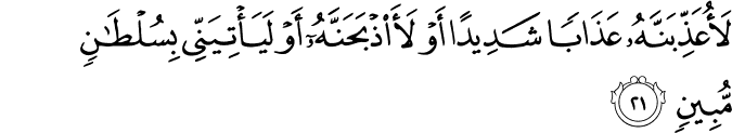 لَأُعَذِّبَنَّهُ عَذَابًا شَدِيدًا أَوْ لَأَذْبَحَنَّهُ أَوْ لَيَأْتِيَنِّي بِسُلْطَانٍ مُّبِينٍ