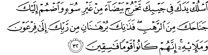 اسْلُكْ يَدَكَ فِي جَيْبِكَ تَخْرُجْ بَيْضَاءَ مِنْ غَيْرِ سُوءٍ وَاضْمُمْ إِلَيْكَ جَنَاحَكَ مِنَ الرَّهْبِ ۖ فَذَانِكَ بُرْهَانَانِ مِن رَّبِّكَ إِلَىٰ فِرْعَوْنَ وَمَلَئِهِ ۚ إِنَّهُمْ كَانُوا قَوْمًا فَاسِقِينَ