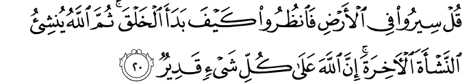 قُلْ سِيرُوا فِي الْأَرْضِ فَانظُرُوا كَيْفَ بَدَأَ الْخَلْقَ ۚ ثُمَّ اللَّهُ يُنشِئُ النَّشْأَةَ الْآخِرَةَ ۚ إِنَّ اللَّهَ عَلَىٰ كُلِّ شَيْءٍ قَدِيرٌ