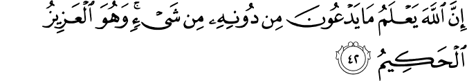 إِنَّ اللَّهَ يَعْلَمُ مَا يَدْعُونَ مِن دُونِهِ مِن شَيْءٍ ۚ وَهُوَ الْعَزِيزُ الْحَكِيمُ