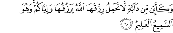 وَكَأَيِّن مِّن دَابَّةٍ لَّا تَحْمِلُ رِزْقَهَا اللَّهُ يَرْزُقُهَا وَإِيَّاكُمْ ۚ وَهُوَ السَّمِيعُ الْعَلِيمُ