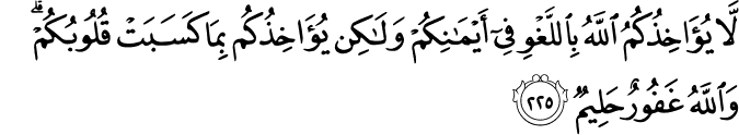 لَّا يُؤَاخِذُكُمُ اللَّهُ بِاللَّغْوِ فِي أَيْمَانِكُمْ وَلَـٰكِن يُؤَاخِذُكُم بِمَا كَسَبَتْ قُلُوبُكُمْ ۗ وَاللَّهُ غَفُورٌ حَلِيمٌ لَّا يُؤَاخِذُكُمُ اللَّهُ بِاللَّغْوِ فِي أَيْمَانِكُمْ وَلَـٰكِن يُؤَاخِذُكُم بِمَا كَسَبَتْ قُلُوبُكُمْ ۗ وَاللَّهُ غَفُورٌ حَلِيمٌ