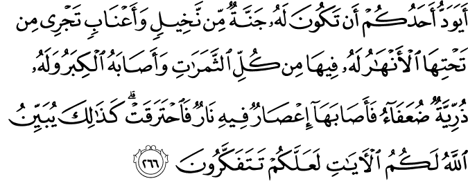 أَيَوَدُّ أَحَدُكُمْ أَن تَكُونَ لَهُ جَنَّةٌ مِّن نَّخِيلٍ وَأَعْنَابٍ تَجْرِي مِن تَحْتِهَا الْأَنْهَارُ لَهُ فِيهَا مِن كُلِّ الثَّمَرَاتِ وَأَصَابَهُ الْكِبَرُ وَلَهُ ذُرِّيَّةٌ ضُعَفَاءُ فَأَصَابَهَا إِعْصَارٌ فِيهِ نَارٌ فَاحْتَرَقَتْ ۗ كَذَٰلِكَ يُبَيِّنُ اللَّهُ لَكُمُ الْآيَاتِ لَعَلَّكُمْ تَتَفَكَّرُونَ أَيَوَدُّ أَحَدُكُمْ أَن تَكُونَ لَهُ جَنَّةٌ مِّن نَّخِيلٍ وَأَعْنَابٍ تَجْرِي مِن تَحْتِهَا الْأَنْهَارُ لَهُ فِيهَا مِن كُلِّ الثَّمَرَاتِ وَأَصَابَهُ الْكِبَرُ وَلَهُ ذُرِّيَّةٌ ضُعَفَاءُ فَأَصَابَهَا إِعْصَارٌ فِيهِ نَارٌ فَاحْتَرَقَتْ ۗ كَذَٰلِكَ يُبَيِّنُ اللَّهُ لَكُمُ الْآيَاتِ لَعَلَّكُمْ تَتَفَكَّرُونَ