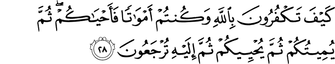 كَيْفَ تَكْفُرُونَ بِاللَّهِ وَكُنتُمْ أَمْوَاتًا فَأَحْيَاكُمْ ۖ ثُمَّ يُمِيتُكُمْ ثُمَّ يُحْيِيكُمْ ثُمَّ إِلَيْهِ تُرْجَعُونَ كَيْفَ تَكْفُرُونَ بِاللَّهِ وَكُنتُمْ أَمْوَاتًا فَأَحْيَاكُمْ ۖ ثُمَّ يُمِيتُكُمْ ثُمَّ يُحْيِيكُمْ ثُمَّ إِلَيْهِ تُرْجَعُونَ