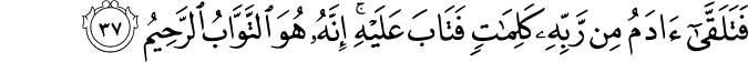 فَتَلَقَّىٰ آدَمُ مِن رَّبِّهِ كَلِمَاتٍ فَتَابَ عَلَيْهِ ۚ إِنَّهُ هُوَ التَّوَّابُ الرَّحِيمُ فَتَلَقَّىٰ آدَمُ مِن رَّبِّهِ كَلِمَاتٍ فَتَابَ عَلَيْهِ ۚ إِنَّهُ هُوَ التَّوَّابُ الرَّحِيمُ