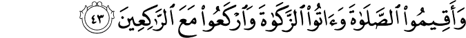 وَأَقِيمُوا الصَّلَاةَ وَآتُوا الزَّكَاةَ وَارْكَعُوا مَعَ الرَّاكِعِينَ وَأَقِيمُوا الصَّلَاةَ وَآتُوا الزَّكَاةَ وَارْكَعُوا مَعَ الرَّاكِعِينَ