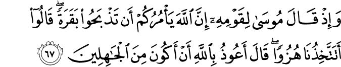 وَإِذْ قَالَ مُوسَىٰ لِقَوْمِهِ إِنَّ اللَّهَ يَأْمُرُكُمْ أَن تَذْبَحُوا بَقَرَةً ۖ قَالُوا أَتَتَّخِذُنَا هُزُوًا ۖ قَالَ أَعُوذُ بِاللَّهِ أَنْ أَكُونَ مِنَ الْجَاهِلِينَ وَإِذْ قَالَ مُوسَىٰ لِقَوْمِهِ إِنَّ اللَّهَ يَأْمُرُكُمْ أَن تَذْبَحُوا بَقَرَةً ۖ قَالُوا أَتَتَّخِذُنَا هُزُوًا ۖ قَالَ أَعُوذُ بِاللَّهِ أَنْ أَكُونَ مِنَ الْجَاهِلِينَ