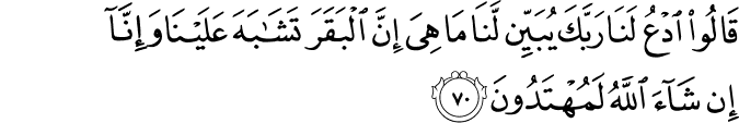 قَالُوا ادْعُ لَنَا رَبَّكَ يُبَيِّن لَّنَا مَا هِيَ إِنَّ الْبَقَرَ تَشَابَهَ عَلَيْنَا وَإِنَّا إِن شَاءَ اللَّهُ لَمُهْتَدُونَ قَالُوا ادْعُ لَنَا رَبَّكَ يُبَيِّن لَّنَا مَا هِيَ إِنَّ الْبَقَرَ تَشَابَهَ عَلَيْنَا وَإِنَّا إِن شَاءَ اللَّهُ لَمُهْتَدُونَ