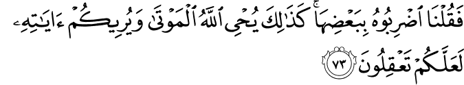 فَقُلْنَا اضْرِبُوهُ بِبَعْضِهَا ۚ كَذَٰلِكَ يُحْيِي اللَّهُ الْمَوْتَىٰ وَيُرِيكُمْ آيَاتِهِ لَعَلَّكُمْ تَعْقِلُونَ فَقُلْنَا اضْرِبُوهُ بِبَعْضِهَا ۚ كَذَٰلِكَ يُحْيِي اللَّهُ الْمَوْتَىٰ وَيُرِيكُمْ آيَاتِهِ لَعَلَّكُمْ تَعْقِلُونَ