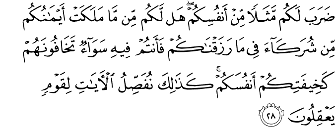 ضَرَبَ لَكُم مَّثَلًا مِّنْ أَنفُسِكُمْ ۖ هَل لَّكُم مِّن مَّا مَلَكَتْ أَيْمَانُكُم مِّن شُرَكَاءَ فِي مَا رَزَقْنَاكُمْ فَأَنتُمْ فِيهِ سَوَاءٌ تَخَافُونَهُمْ كَخِيفَتِكُمْ أَنفُسَكُمْ ۚ كَذَٰلِكَ نُفَصِّلُ الْآيَاتِ لِقَوْمٍ يَعْقِلُونَ