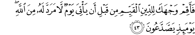 فَأَقِمْ وَجْهَكَ لِلدِّينِ الْقَيِّمِ مِن قَبْلِ أَن يَأْتِيَ يَوْمٌ لَّا مَرَدَّ لَهُ مِنَ اللَّهِ ۖ يَوْمَئِذٍ يَصَّدَّعُونَ