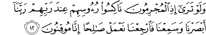 وَلَوْ تَرَىٰ إِذِ الْمُجْرِمُونَ نَاكِسُو رُءُوسِهِمْ عِندَ رَبِّهِمْ رَبَّنَا أَبْصَرْنَا وَسَمِعْنَا فَارْجِعْنَا نَعْمَلْ صَالِحًا إِنَّا مُوقِنُونَ