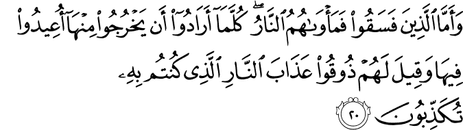 وَأَمَّا الَّذِينَ فَسَقُوا فَمَأْوَاهُمُ النَّارُ ۖ كُلَّمَا أَرَادُوا أَن يَخْرُجُوا مِنْهَا أُعِيدُوا فِيهَا وَقِيلَ لَهُمْ ذُوقُوا عَذَابَ النَّارِ الَّذِي كُنتُم بِهِ تُكَذِّبُونَ