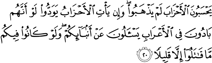 يَحْسَبُونَ الْأَحْزَابَ لَمْ يَذْهَبُوا ۖ وَإِن يَأْتِ الْأَحْزَابُ يَوَدُّوا لَوْ أَنَّهُم بَادُونَ فِي الْأَعْرَابِ يَسْأَلُونَ عَنْ أَنبَائِكُمْ ۖ وَلَوْ كَانُوا فِيكُم مَّا قَاتَلُوا إِلَّا قَلِيلًا