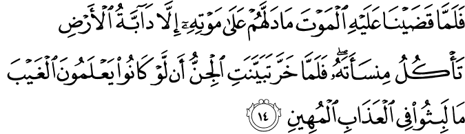 فَلَمَّا قَضَيْنَا عَلَيْهِ الْمَوْتَ مَا دَلَّهُمْ عَلَىٰ مَوْتِهِ إِلَّا دَابَّةُ الْأَرْضِ تَأْكُلُ مِنسَأَتَهُ ۖ فَلَمَّا خَرَّ تَبَيَّنَتِ الْجِنُّ أَن لَّوْ كَانُوا يَعْلَمُونَ الْغَيْبَ مَا لَبِثُوا فِي الْعَذَابِ الْمُهِينِ