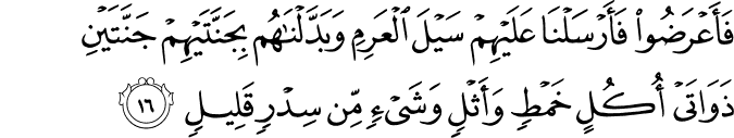 فَأَعْرَضُوا فَأَرْسَلْنَا عَلَيْهِمْ سَيْلَ الْعَرِمِ وَبَدَّلْنَاهُم بِجَنَّتَيْهِمْ جَنَّتَيْنِ ذَوَاتَيْ أُكُلٍ خَمْطٍ وَأَثْلٍ وَشَيْءٍ مِّن سِدْرٍ قَلِيلٍ