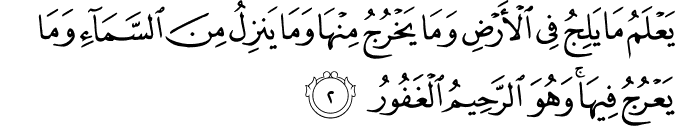 يَعْلَمُ مَا يَلِجُ فِي الْأَرْضِ وَمَا يَخْرُجُ مِنْهَا وَمَا يَنزِلُ مِنَ السَّمَاءِ وَمَا يَعْرُجُ فِيهَا ۚ وَهُوَ الرَّحِيمُ الْغَفُورُ