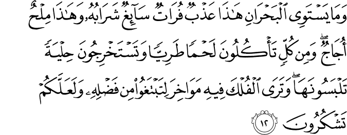 وَمَا يَسْتَوِي الْبَحْرَانِ هَـٰذَا عَذْبٌ فُرَاتٌ سَائِغٌ شَرَابُهُ وَهَـٰذَا مِلْحٌ أُجَاجٌ ۖ وَمِن كُلٍّ تَأْكُلُونَ لَحْمًا طَرِيًّا وَتَسْتَخْرِجُونَ حِلْيَةً تَلْبَسُونَهَا ۖ وَتَرَى الْفُلْكَ فِيهِ مَوَاخِرَ لِتَبْتَغُوا مِن فَضْلِهِ وَلَعَلَّكُمْ تَشْكُرُونَ
