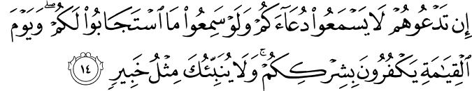 إِن تَدْعُوهُمْ لَا يَسْمَعُوا دُعَاءَكُمْ وَلَوْ سَمِعُوا مَا اسْتَجَابُوا لَكُمْ ۖ وَيَوْمَ الْقِيَامَةِ يَكْفُرُونَ بِشِرْكِكُمْ ۚ وَلَا يُنَبِّئُكَ مِثْلُ خَبِيرٍ