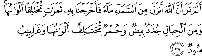 أَلَمْ تَرَ أَنَّ اللَّهَ أَنزَلَ مِنَ السَّمَاءِ مَاءً فَأَخْرَجْنَا بِهِ ثَمَرَاتٍ مُّخْتَلِفًا أَلْوَانُهَا ۚ وَمِنَ الْجِبَالِ جُدَدٌ بِيضٌ وَحُمْرٌ مُّخْتَلِفٌ أَلْوَانُهَا وَغَرَابِيبُ سُودٌ