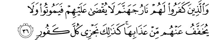 وَالَّذِينَ كَفَرُوا لَهُمْ نَارُ جَهَنَّمَ لَا يُقْضَىٰ عَلَيْهِمْ فَيَمُوتُوا وَلَا يُخَفَّفُ عَنْهُم مِّنْ عَذَابِهَا ۚ كَذَٰلِكَ نَجْزِي كُلَّ كَفُورٍ
