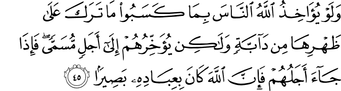 وَلَوْ يُؤَاخِذُ اللَّهُ النَّاسَ بِمَا كَسَبُوا مَا تَرَكَ عَلَىٰ ظَهْرِهَا مِن دَابَّةٍ وَلَـٰكِن يُؤَخِّرُهُمْ إِلَىٰ أَجَلٍ مُّسَمًّى ۖ فَإِذَا جَاءَ أَجَلُهُمْ فَإِنَّ اللَّهَ كَانَ بِعِبَادِهِ بَصِيرًا