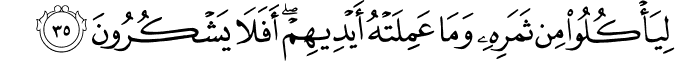 لِيَأْكُلُوا مِن ثَمَرِهِ وَمَا عَمِلَتْهُ أَيْدِيهِمْ ۖ أَفَلَا يَشْكُرُونَ لِيَأْكُلُوا مِن ثَمَرِهِ وَمَا عَمِلَتْهُ أَيْدِيهِمْ ۖ أَفَلَا يَشْكُرُونَ