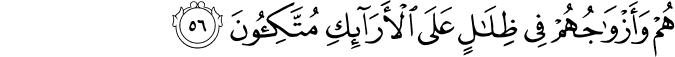 هُمْ وَأَزْوَاجُهُمْ فِي ظِلَالٍ عَلَى الْأَرَائِكِ مُتَّكِئُونَ هُمْ وَأَزْوَاجُهُمْ فِي ظِلَالٍ عَلَى الْأَرَائِكِ مُتَّكِئُونَ