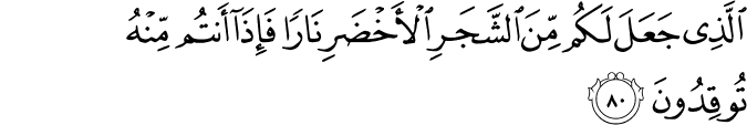 الَّذِي جَعَلَ لَكُم مِّنَ الشَّجَرِ الْأَخْضَرِ نَارًا فَإِذَا أَنتُم مِّنْهُ تُوقِدُونَ الَّذِي جَعَلَ لَكُم مِّنَ الشَّجَرِ الْأَخْضَرِ نَارًا فَإِذَا أَنتُم مِّنْهُ تُوقِدُونَ
