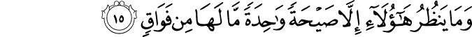 وَمَا يَنظُرُ هَـٰؤُلَاءِ إِلَّا صَيْحَةً وَاحِدَةً مَّا لَهَا مِن فَوَاقٍ