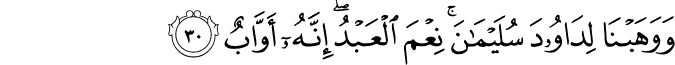 وَوَهَبْنَا لِدَاوُودَ سُلَيْمَانَ ۚ نِعْمَ الْعَبْدُ ۖ إِنَّهُ أَوَّابٌ