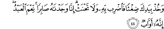 وَخُذْ بِيَدِكَ ضِغْثًا فَاضْرِب بِّهِ وَلَا تَحْنَثْ ۗ إِنَّا وَجَدْنَاهُ صَابِرًا ۚ نِّعْمَ الْعَبْدُ ۖ إِنَّهُ أَوَّابٌ