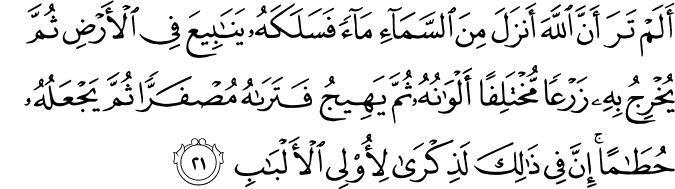 أَلَمْ تَرَ أَنَّ اللَّهَ أَنزَلَ مِنَ السَّمَاءِ مَاءً فَسَلَكَهُ يَنَابِيعَ فِي الْأَرْضِ ثُمَّ يُخْرِجُ بِهِ زَرْعًا مُّخْتَلِفًا أَلْوَانُهُ ثُمَّ يَهِيجُ فَتَرَاهُ مُصْفَرًّا ثُمَّ يَجْعَلُهُ حُطَامًا ۚ إِنَّ فِي ذَٰلِكَ لَذِكْرَىٰ لِأُولِي الْأَلْبَابِ