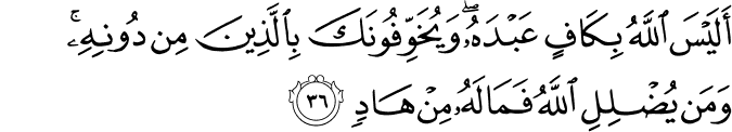 أَلَيْسَ اللَّهُ بِكَافٍ عَبْدَهُ ۖ وَيُخَوِّفُونَكَ بِالَّذِينَ مِن دُونِهِ ۚ وَمَن يُضْلِلِ اللَّهُ فَمَا لَهُ مِنْ هَادٍ