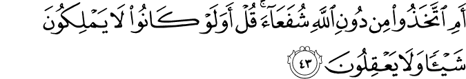 أَمِ اتَّخَذُوا مِن دُونِ اللَّهِ شُفَعَاءَ ۚ قُلْ أَوَلَوْ كَانُوا لَا يَمْلِكُونَ شَيْئًا وَلَا يَعْقِلُونَ