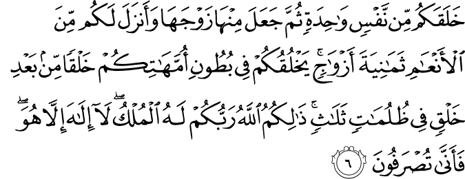 خَلَقَكُم مِّن نَّفْسٍ وَاحِدَةٍ ثُمَّ جَعَلَ مِنْهَا زَوْجَهَا وَأَنزَلَ لَكُم مِّنَ الْأَنْعَامِ ثَمَانِيَةَ أَزْوَاجٍ ۚ يَخْلُقُكُمْ فِي بُطُونِ أُمَّهَاتِكُمْ خَلْقًا مِّن بَعْدِ خَلْقٍ فِي ظُلُمَاتٍ ثَلَاثٍ ۚ ذَٰلِكُمُ اللَّهُ رَبُّكُمْ لَهُ الْمُلْكُ ۖ لَا إِلَـٰهَ إِلَّا هُوَ ۖ فَأَنَّىٰ تُصْرَفُونَ