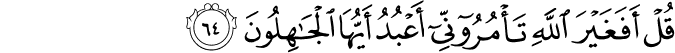 قُلْ أَفَغَيْرَ اللَّهِ تَأْمُرُونِّي أَعْبُدُ أَيُّهَا الْجَاهِلُونَ
