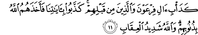كَدَأْبِ آلِ فِرْعَوْنَ وَالَّذِينَ مِن قَبْلِهِمْ ۚ كَذَّبُوا بِآيَاتِنَا فَأَخَذَهُمُ اللَّهُ بِذُنُوبِهِمْ ۗ وَاللَّهُ شَدِيدُ الْعِقَابِ