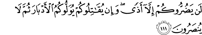 لَن يَضُرُّوكُمْ إِلَّا أَذًى ۖ وَإِن يُقَاتِلُوكُمْ يُوَلُّوكُمُ الْأَدْبَارَ ثُمَّ لَا يُنصَرُونَ