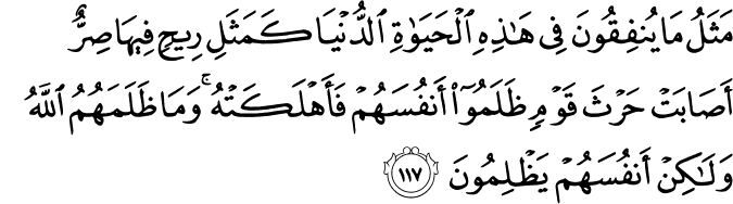 مَثَلُ مَا يُنفِقُونَ فِي هَـٰذِهِ الْحَيَاةِ الدُّنْيَا كَمَثَلِ رِيحٍ فِيهَا صِرٌّ أَصَابَتْ حَرْثَ قَوْمٍ ظَلَمُوا أَنفُسَهُمْ فَأَهْلَكَتْهُ ۚ وَمَا ظَلَمَهُمُ اللَّهُ وَلَـٰكِنْ أَنفُسَهُمْ يَظْلِمُونَ