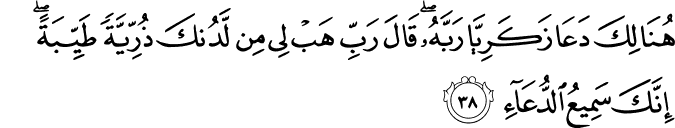 هُنَالِكَ دَعَا زَكَرِيَّا رَبَّهُ ۖ قَالَ رَبِّ هَبْ لِي مِن لَّدُنكَ ذُرِّيَّةً طَيِّبَةً ۖ إِنَّكَ سَمِيعُ الدُّعَاءِ