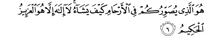 هُوَ الَّذِي يُصَوِّرُكُمْ فِي الْأَرْحَامِ كَيْفَ يَشَاءُ ۚ لَا إِلَـٰهَ إِلَّا هُوَ الْعَزِيزُ الْحَكِيمُ