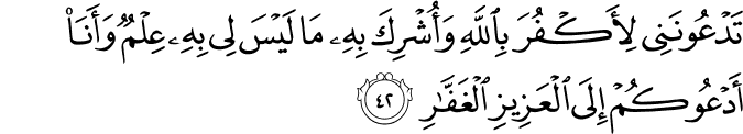 تَدْعُونَنِي لِأَكْفُرَ بِاللَّهِ وَأُشْرِكَ بِهِ مَا لَيْسَ لِي بِهِ عِلْمٌ وَأَنَا أَدْعُوكُمْ إِلَى الْعَزِيزِ الْغَفَّارِ