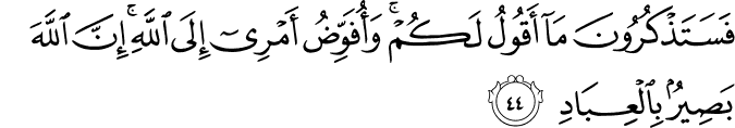 فَسَتَذْكُرُونَ مَا أَقُولُ لَكُمْ ۚ وَأُفَوِّضُ أَمْرِي إِلَى اللَّهِ ۚ إِنَّ اللَّهَ بَصِيرٌ بِالْعِبَادِ