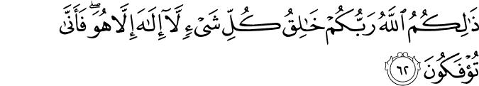 ذَٰلِكُمُ اللَّهُ رَبُّكُمْ خَالِقُ كُلِّ شَيْءٍ لَّا إِلَـٰهَ إِلَّا هُوَ ۖ فَأَنَّىٰ تُؤْفَكُونَ