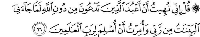 قُلْ إِنِّي نُهِيتُ أَنْ أَعْبُدَ الَّذِينَ تَدْعُونَ مِن دُونِ اللَّهِ لَمَّا جَاءَنِيَ الْبَيِّنَاتُ مِن رَّبِّي وَأُمِرْتُ أَنْ أُسْلِمَ لِرَبِّ الْعَالَمِينَ