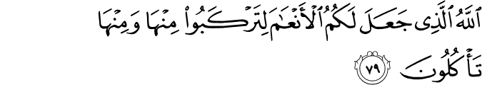 اللَّهُ الَّذِي جَعَلَ لَكُمُ الْأَنْعَامَ لِتَرْكَبُوا مِنْهَا وَمِنْهَا تَأْكُلُونَ